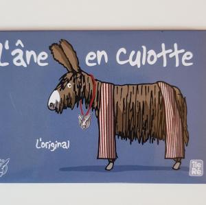 Aneneculotte magnet ane original